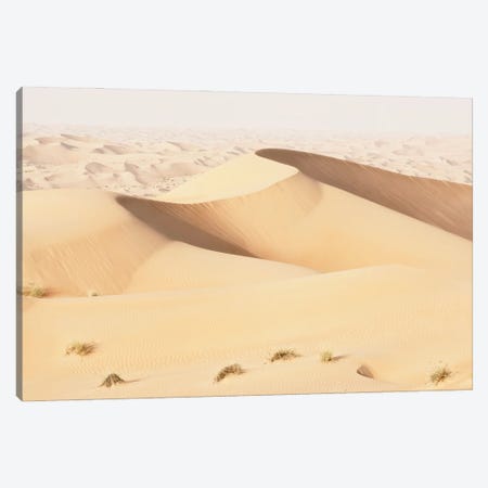 Wild Sand Dunes - Topaz Desert Canvas Print #PHD2347} by Philippe Hugonnard Canvas Print