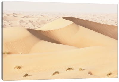 Wild Sand Dunes - Topaz Desert Canvas Art Print - Wild Sand Dunes