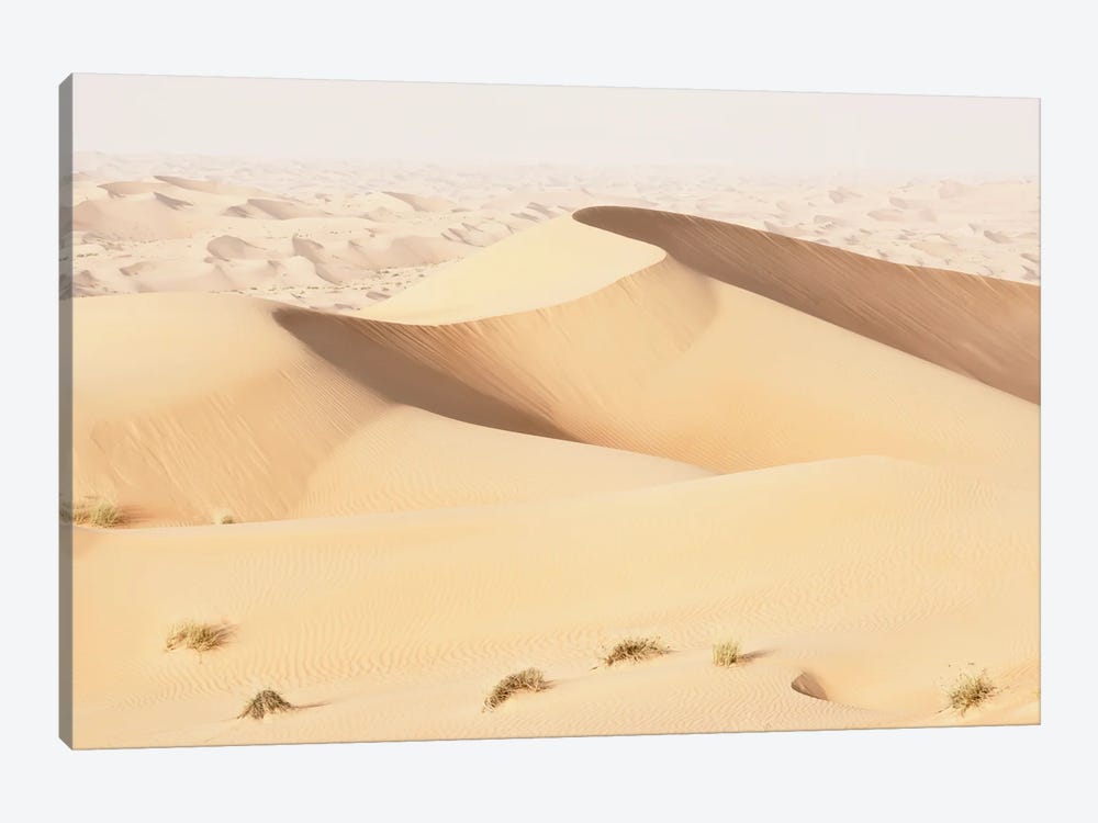 Wild Sand Dunes - Topaz Desert by Philippe Hugonnard 1-piece Canvas Print
