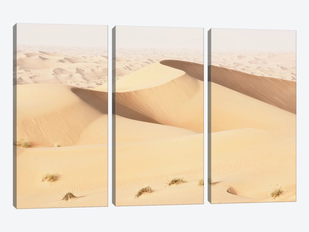 Wild Sand Dunes - Topaz Desert by Philippe Hugonnard 3-piece Art Print