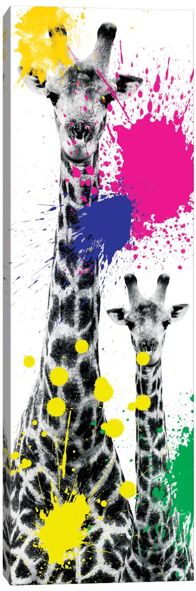 Giraffes III Canvas Art Print - Giraffe Art