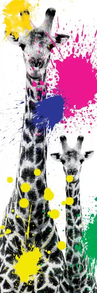 Giraffes: Giraffes III by Philippe Hugonnard