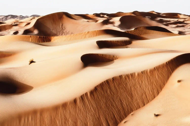 Wild Sand Dunes - Persian Desert