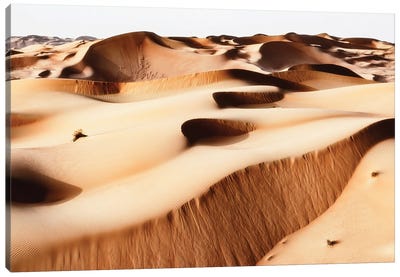 Wild Sand Dunes - Persian Desert Canvas Art Print - Wild Sand Dunes