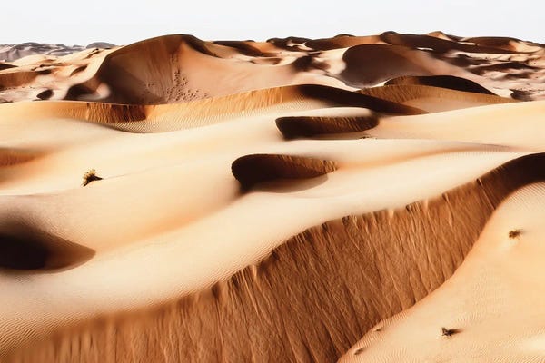 Wild Sand Dunes - Persian Desert