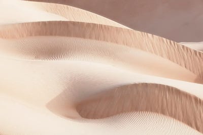 Wild Sand Dunes - Drift by Philippe Hugonnard art print