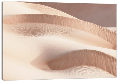 Wild Sand Dunes - Drift Canvas Art Print - Japandi