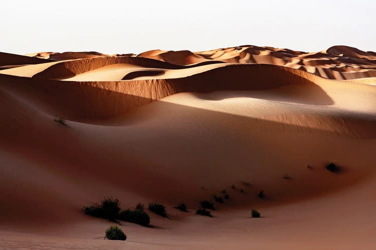 Wild Sand Dunes - Shadow Sunset