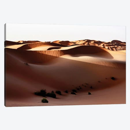 Wild Sand Dunes - Shadow Sunset Canvas Print #PHD2353} by Philippe Hugonnard Canvas Print
