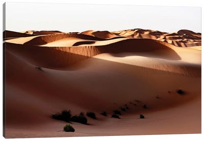 Wild Sand Dunes - Shadow Sunset Canvas Art Print - Wild Sand Dunes