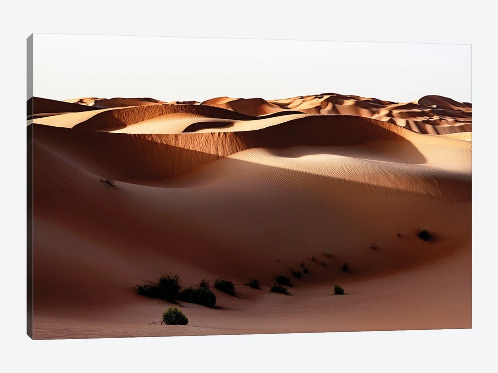 Wild Sand Dunes - Shadow Sunset 1-piece Canvas Art