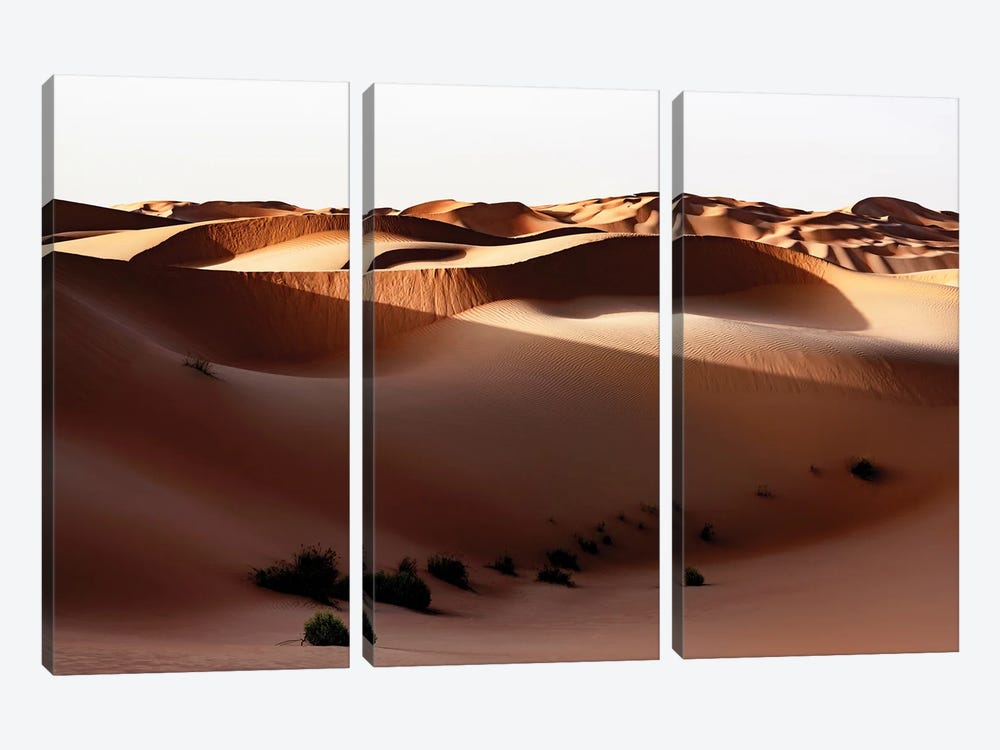 Wild Sand Dunes - Shadow Sunset 3-piece Canvas Artwork