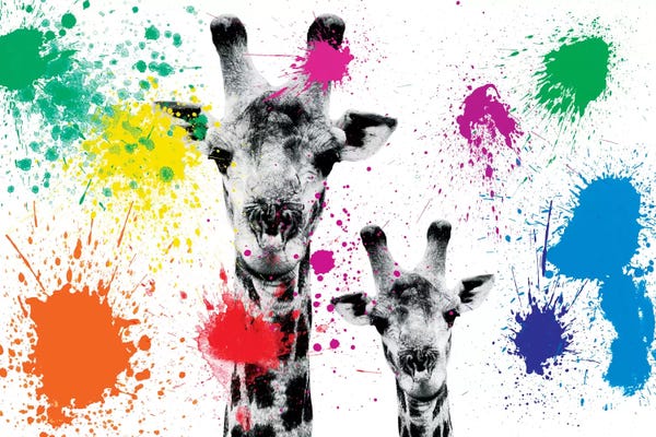 Color Pop Photography: Giraffes Portrait by Philippe Hugonnard