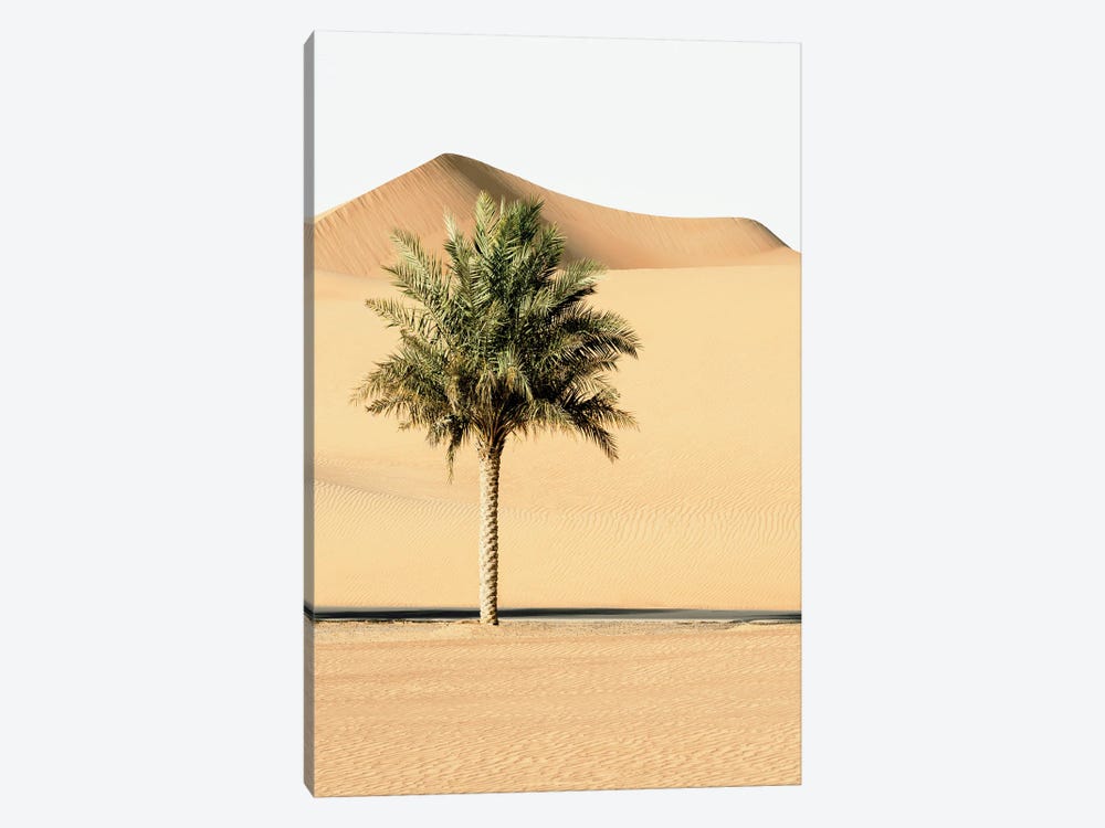 Wild Sand Dunes - Alone In The World by Philippe Hugonnard 1-piece Canvas Artwork