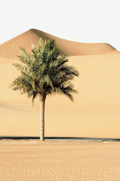 Wild Sand Dunes - Alone In The World