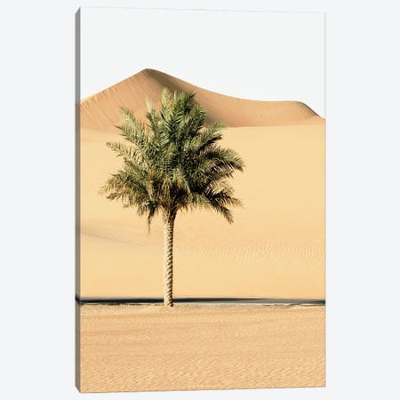 Wild Sand Dunes - Alone In The World Canvas Print #PHD2366} by Philippe Hugonnard Canvas Art Print
