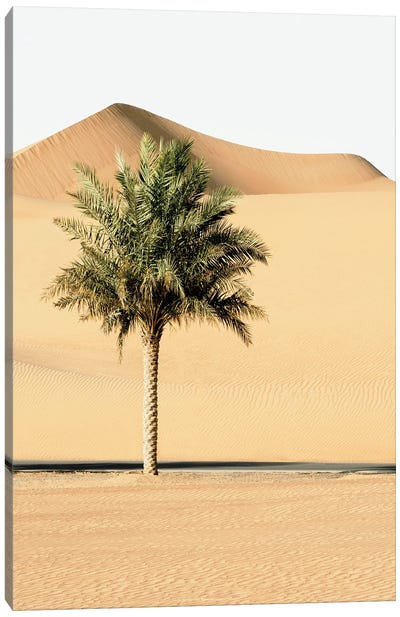 Wild Sand Dunes - Alone In The World Canvas Art Print - Wild Sand Dunes