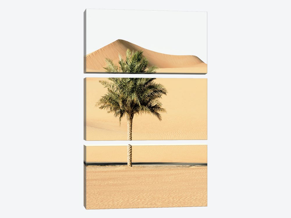 Wild Sand Dunes - Alone In The World by Philippe Hugonnard 3-piece Canvas Wall Art