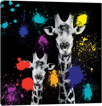 Giraffes Portrait VI Canvas Art Print - African Safari