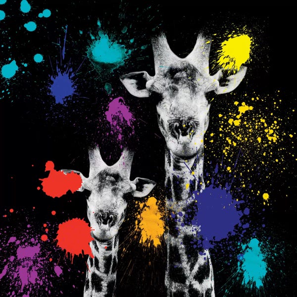 Color Pop Photography: Giraffes Portrait VI by Philippe Hugonnard