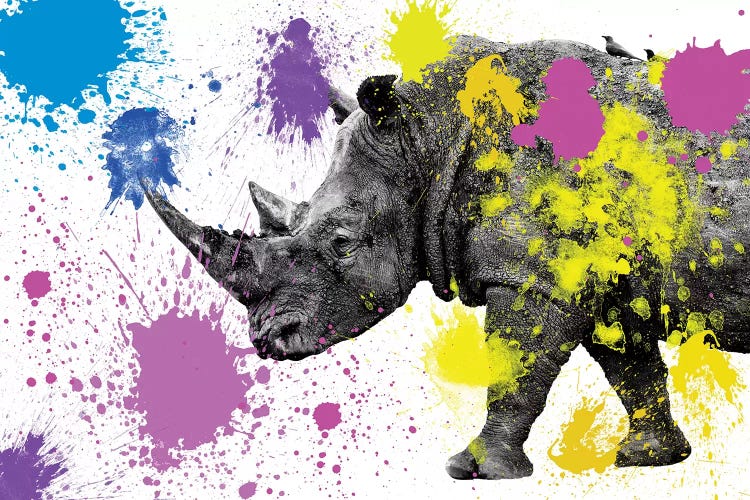 Rhino  by Philippe Hugonnard wall art