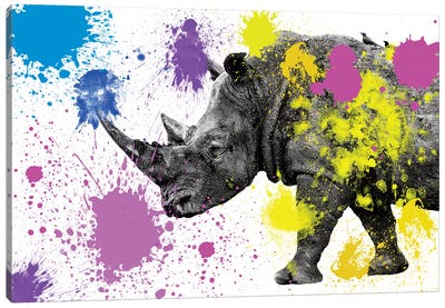 Rhino  Canvas Art Print - Rhinoceros Art