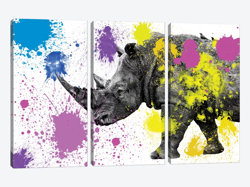 Rhino  by Philippe Hugonnard 3-piece Art Print
