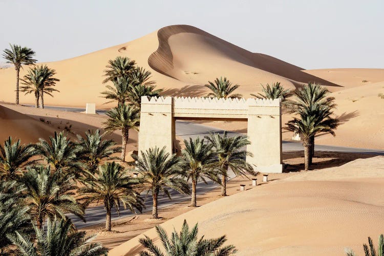 Wild Sand Dunes - In The Middle Of The Desert