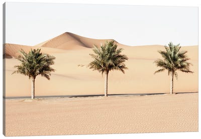 Wild Sand Dunes - Palm Trees Canvas Art Print - Wild Sand Dunes