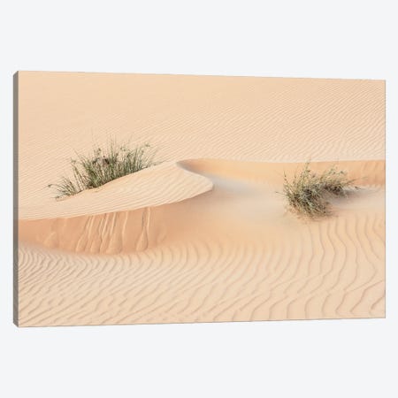 Wild Sand Dunes - Snake Wave Canvas Print #PHD2389} by Philippe Hugonnard Canvas Art