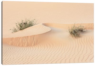 Wild Sand Dunes - Snake Wave Canvas Art Print - Natural Elements