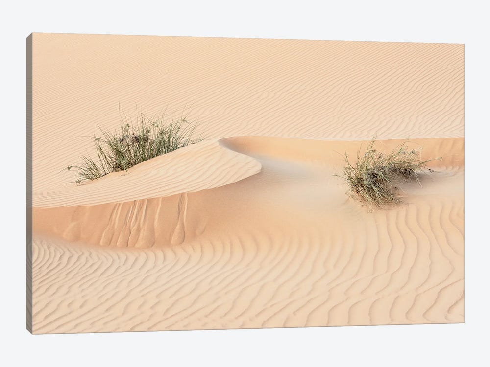Wild Sand Dunes - Snake Wave by Philippe Hugonnard 1-piece Canvas Art Print