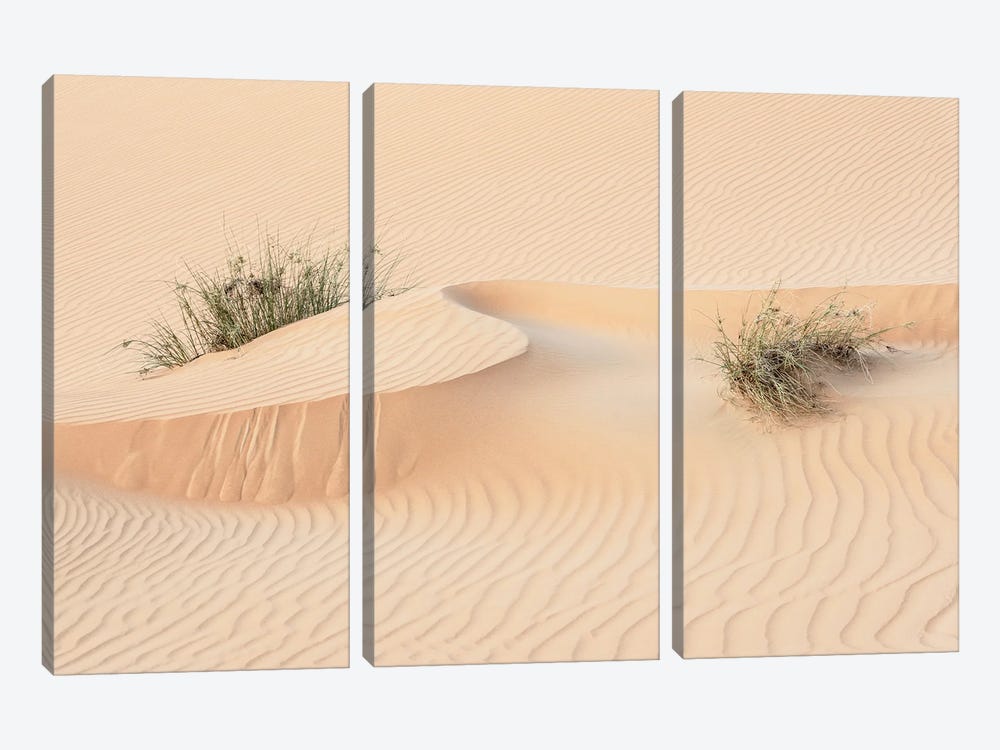Wild Sand Dunes - Snake Wave by Philippe Hugonnard 3-piece Art Print