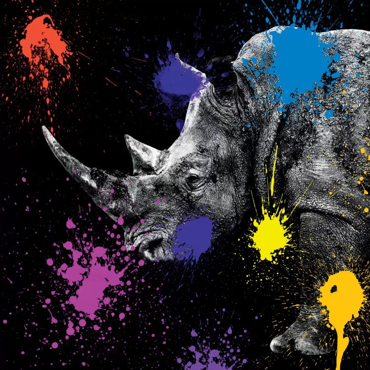 Rhino Portrait
