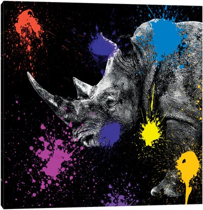 Rhino Portrait Canvas Art Print - African Safari