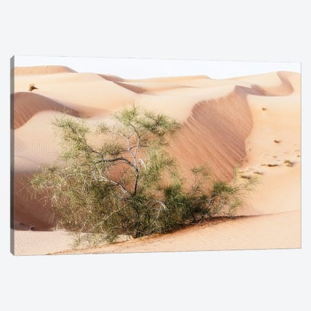Wild Sand Dunes - Survivor Canvas Print #PHD2390} by Philippe Hugonnard Canvas Art Print