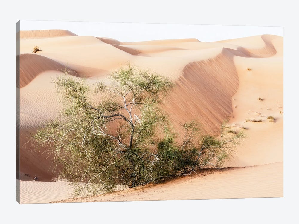 Wild Sand Dunes - Survivor by Philippe Hugonnard 1-piece Canvas Art Print