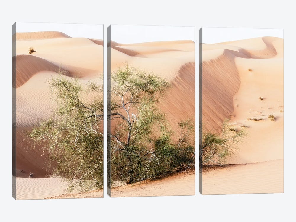 Wild Sand Dunes - Survivor by Philippe Hugonnard 3-piece Art Print