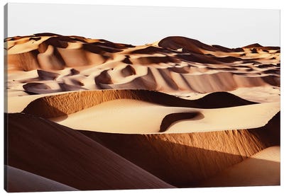 Wild Sand Dunes - Sunset Canvas Art Print - Natural Elements