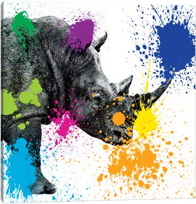 Rhino Portrait II Canvas Art Print - Rhinoceros Art
