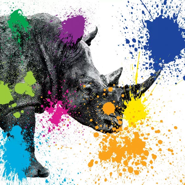 Rhinoceroses: Rhino Portrait II by Philippe Hugonnard