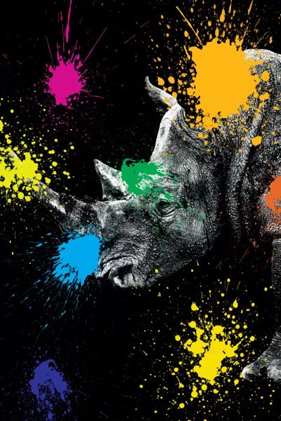 Rhinoceroses: Rhino Portrait III by Philippe Hugonnard