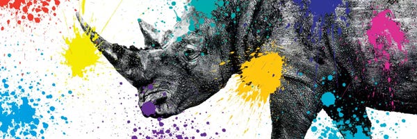 Rhinoceroses: Rhino Portrait V by Philippe Hugonnard