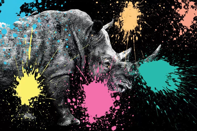 Rhino Portrait VIII