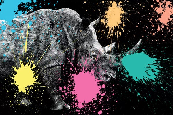 Rhinoceroses: Rhino Portrait VIII by Philippe Hugonnard