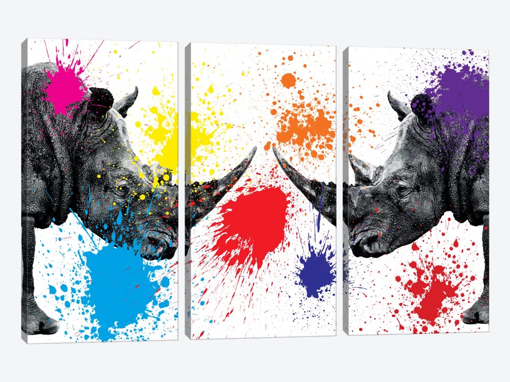 Rhinos Face to Face III by Philippe Hugonnard 3-piece Art Print