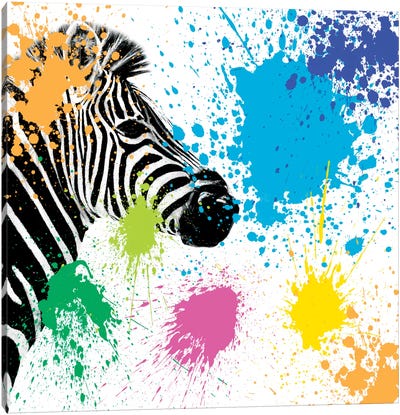 Zebra Canvas Art Print - Color Pop Photography