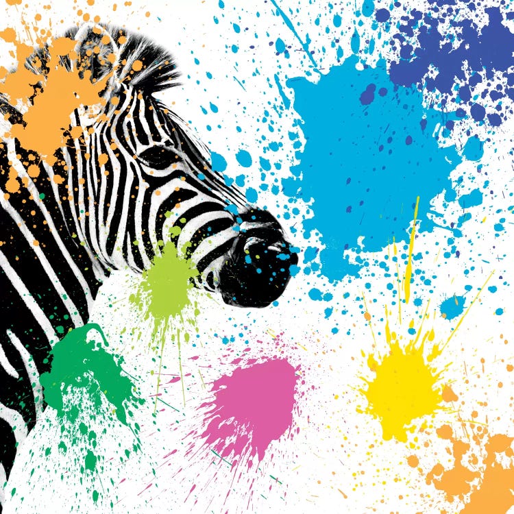 Zebra by Philippe Hugonnard wall art