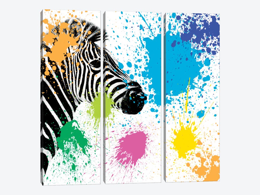 Zebra by Philippe Hugonnard 3-piece Canvas Wall Art