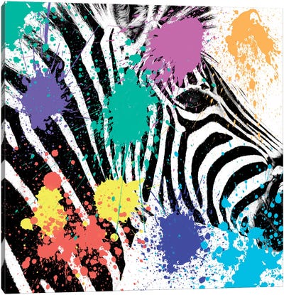 Zebra Portrait Canvas Art Print - Art for Teens